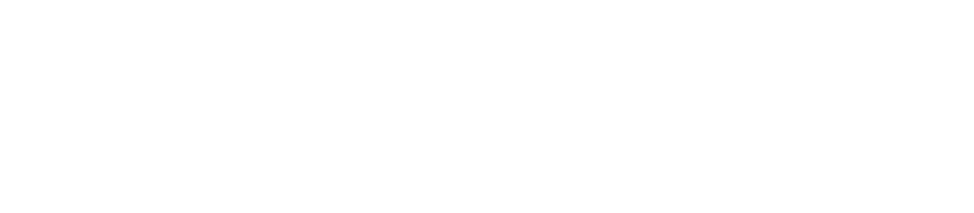 vanity fair logo_