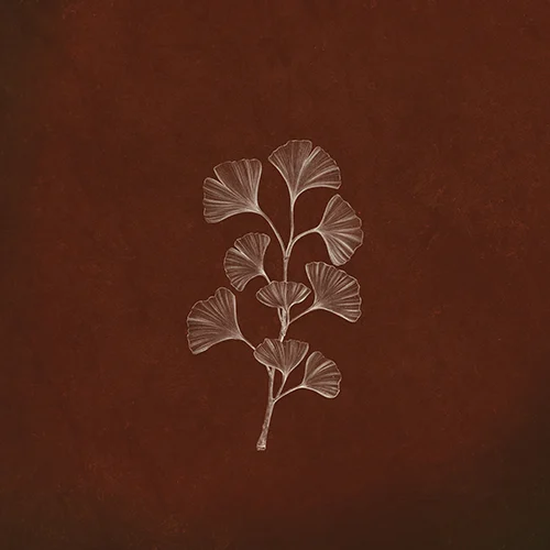 500x500px_Autumn Journey_cover