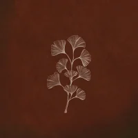 500x500px_Autumn Journey_cover