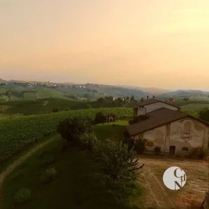 Cantina di Nizza